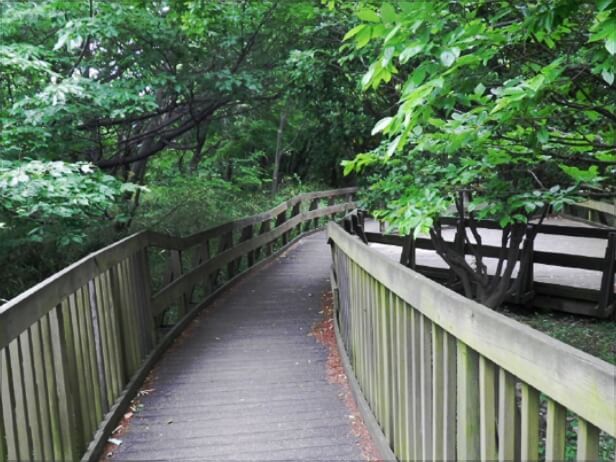 6 和田山の丘