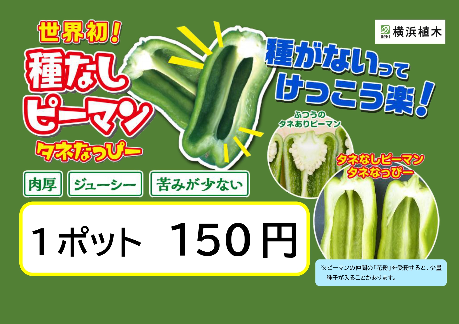 見晴らしcafe 野菜苗を販売しております | 本牧山頂公園-公式サイト丨本牧の山頂にある見晴らしの良い公園