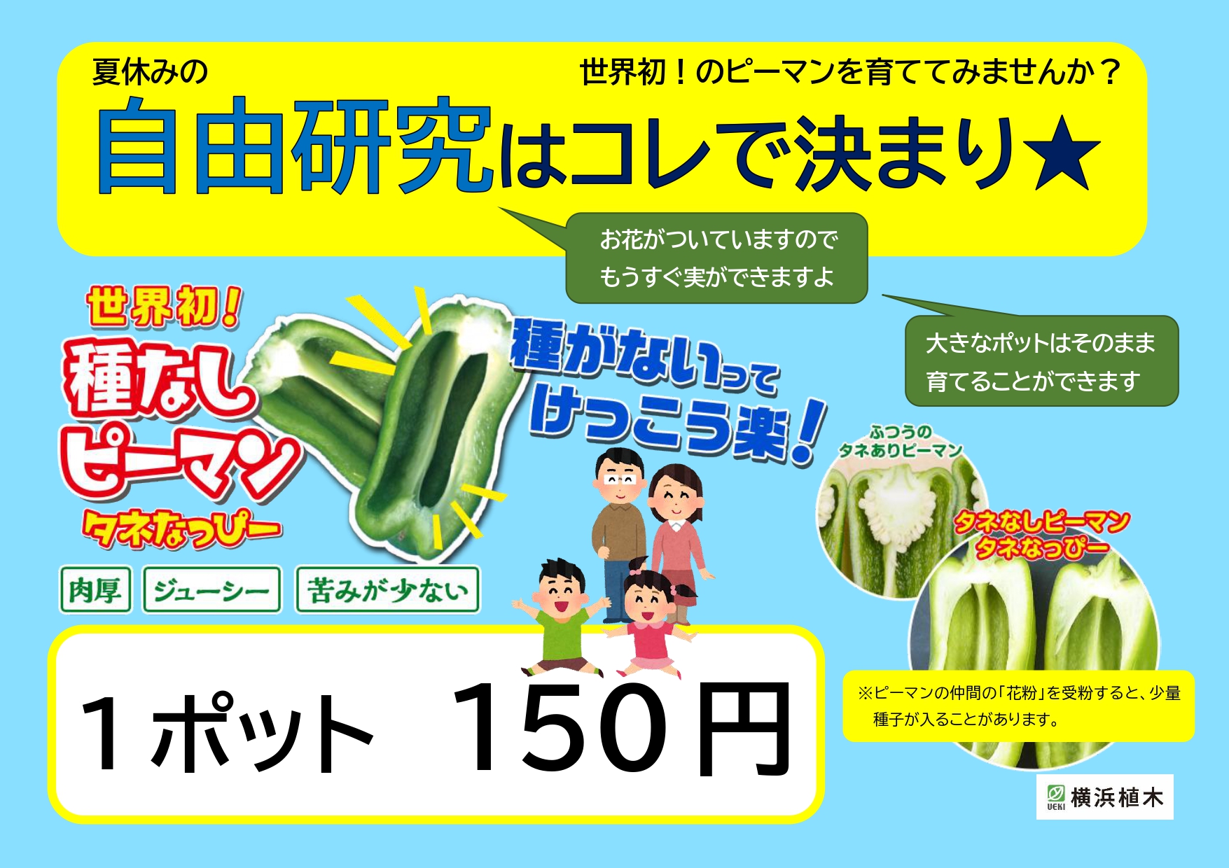 今年の自由研究はコレで決まり☆ 見晴らしcafeにて販売中 | 本牧山頂